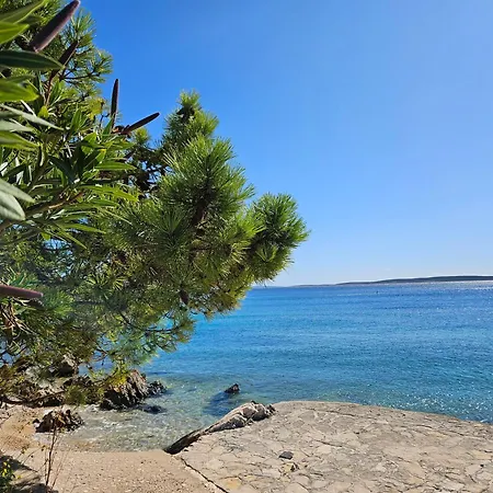 Luxury Loft Apartament Mandre